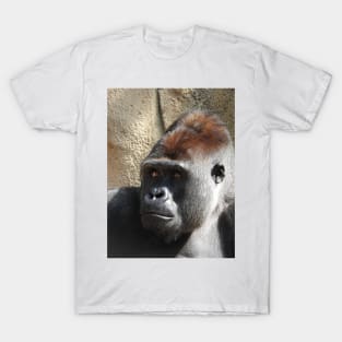 Gorilla T-Shirt